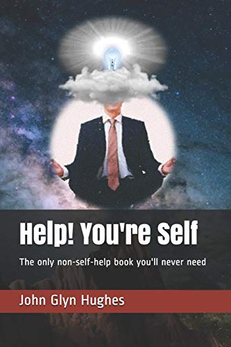 Imagen de archivo de Help! You're Self: The only non self help book you'll never need a la venta por AwesomeBooks