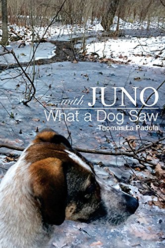Beispielbild fr with Juno: What a Dog Saw zum Verkauf von THE SAINT BOOKSTORE