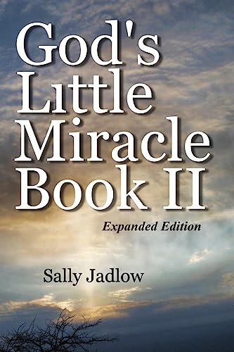 9781543155297: God's Little Miracle Book II