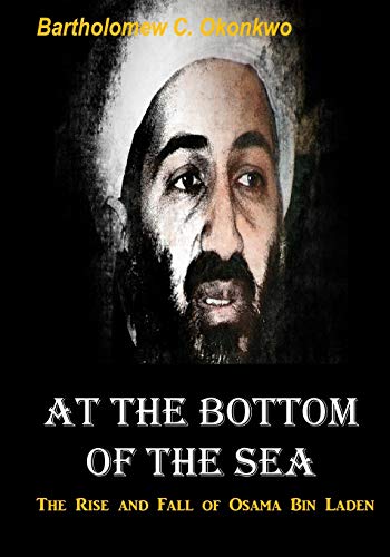 Stock image for At the Bottom of the Sea: The Rise and Fall of Osama bin laden for sale by Lucky's Textbooks