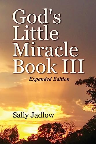 9781543252743: God's Little Miracle Book III