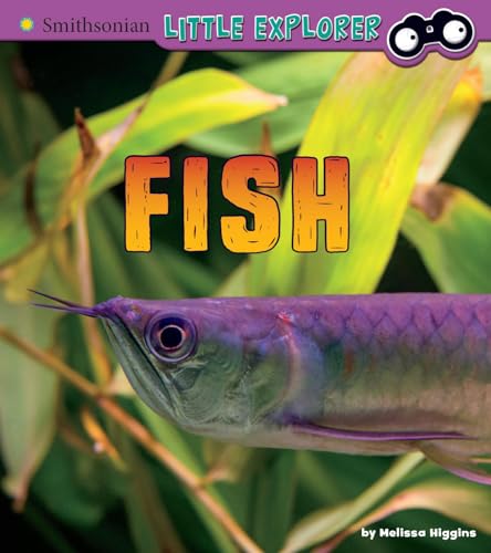 Beispielbild fr Fish : A 4D Book zum Verkauf von Better World Books