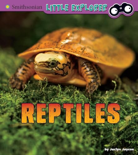 Stock image for Reptiles: A 4D Book for sale by ThriftBooks-Dallas