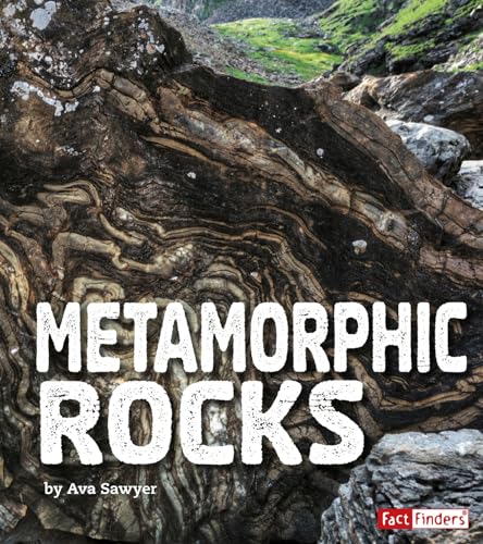 9781543527025: Metamorphic Rocks