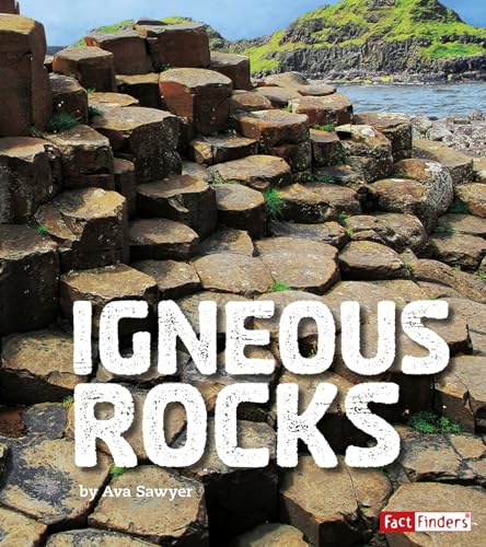 9781543527094: Igneous Rocks