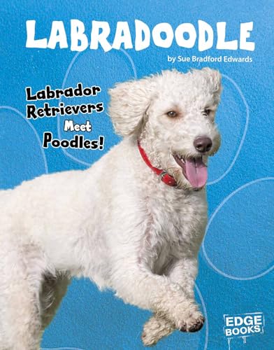 Beispielbild fr Labradoodle: Labrador Retrievers Meet Poodles! (Top Hybrid Dogs) zum Verkauf von Irish Booksellers