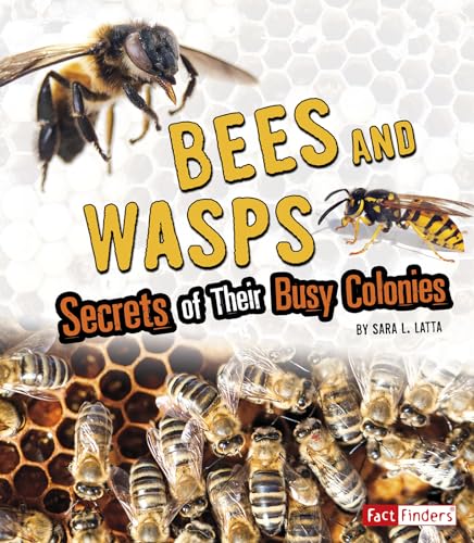 9781543559118: Bees and Wasps: Secrets of Their Busy Colonies (Amazing Animal Colonies)