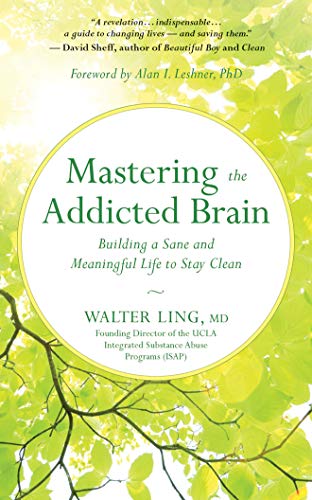 Beispielbild fr Mastering the Addicted Brain: Building a Sane and Meaningful Life to Stay Clean zum Verkauf von Buchpark
