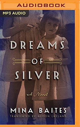 Beispielbild fr Dreams of Silver zum Verkauf von Revaluation Books