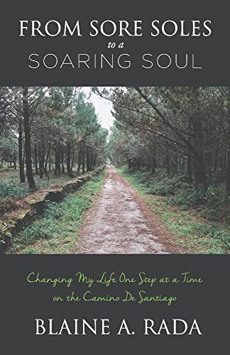 Imagen de archivo de From Sore Soles to a Soaring Soul: Changing My Life One Step At a Time On the Camino De Santiago (1) a la venta por Dream Books Co.
