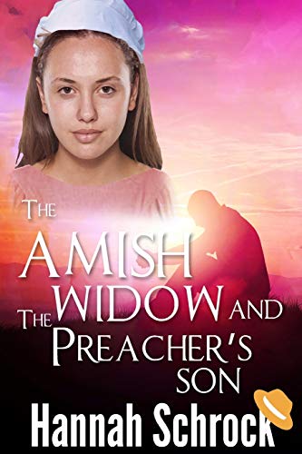 Stock image for The Amish Widow And The Preacher's Son for sale by THE SAINT BOOKSTORE