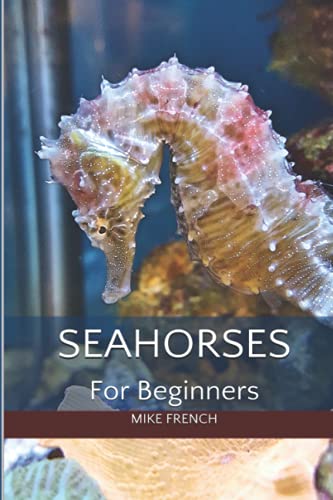 9781544028224: Seahorses For Beginners
