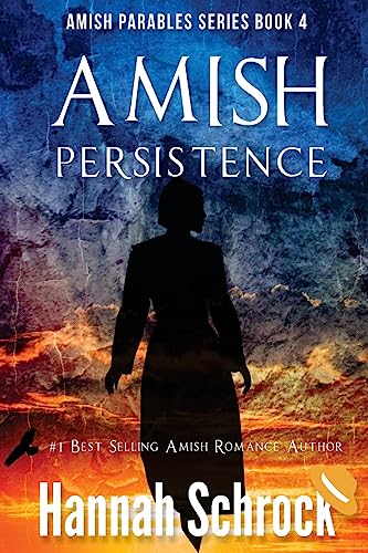 Stock image for Amish Persistence for sale by THE SAINT BOOKSTORE