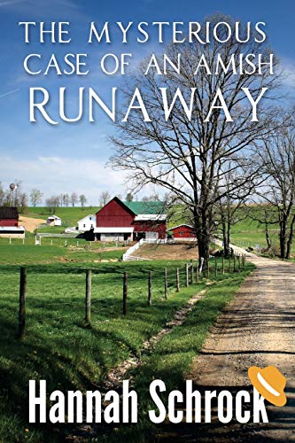 Imagen de archivo de The Mysterious Case of an Amish Runaway a la venta por THE SAINT BOOKSTORE
