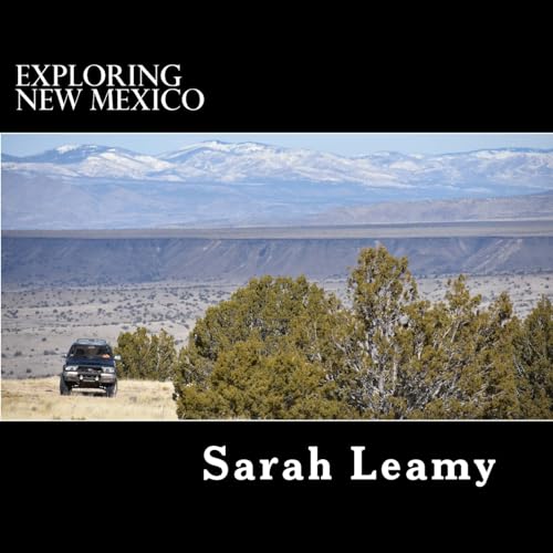Stock image for Exploring New Mexico for sale by Jenson Books Inc