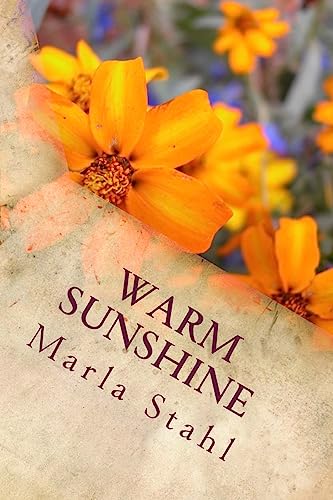 Stock image for Warm Sunshine: Warming Your Soul With Inspiration and Positivity for sale by Save With Sam