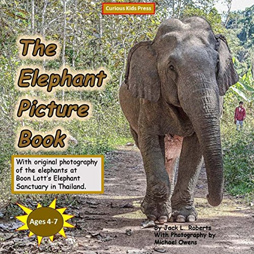 Stock image for The Elephant Picture Book for sale by Revaluation Books