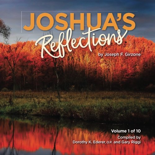 Stock image for Joshuas Reflections: Volume 1 for sale by Bulk Book Warehouse