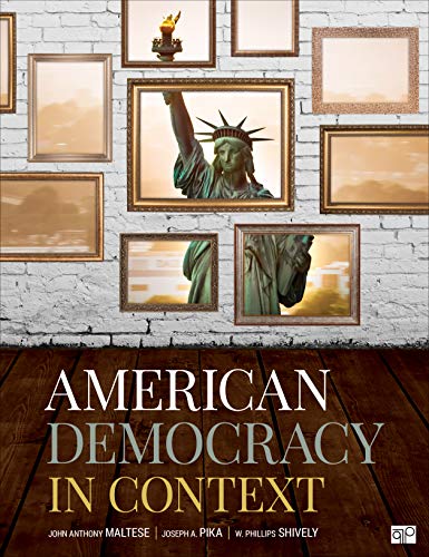 Beispielbild fr American Democracy in Context zum Verkauf von SecondSale