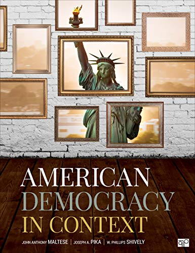 Stock image for American Democracy in Context for sale by SecondSale