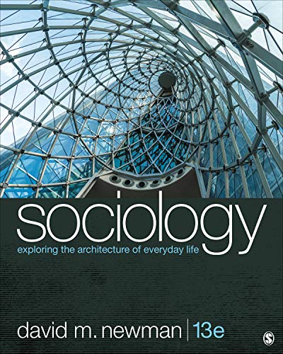 Stock image for Sociology: Exploring the Architecture of Everyday Life for sale by GF Books, Inc.