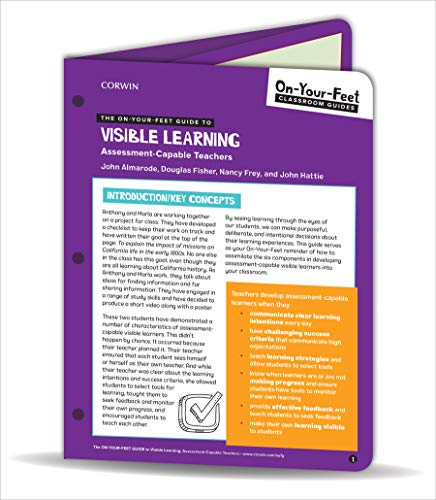 Imagen de archivo de The On-Your-Feet Guide to Visible Learning a la venta por Blackwell's