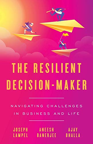 Stock image for The Resilient Decision-Maker: Navigating Challenges in Business and Life for sale by Open Books