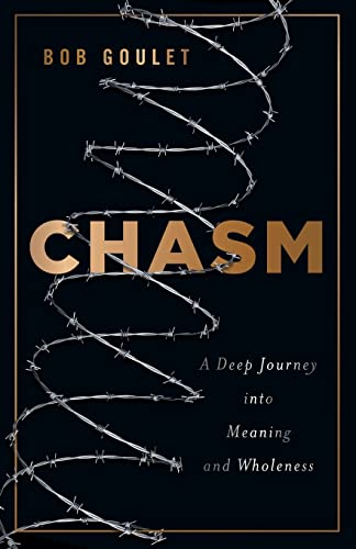Beispielbild fr Chasm: A Deep Journey into Meaning and Wholeness zum Verkauf von Lucky's Textbooks