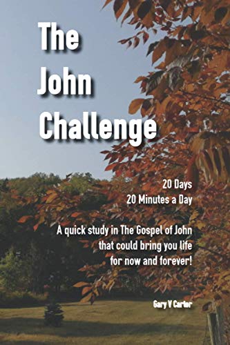 Imagen de archivo de The John Challenge: 20 Days ~ 20 Minutes a Day a la venta por Big River Books