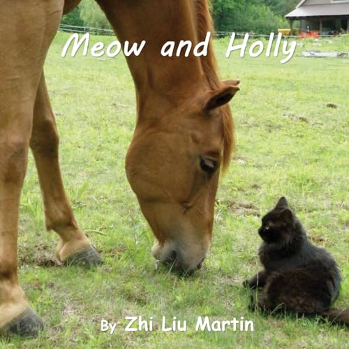 Imagen de archivo de Meow and Holly a la venta por THE SAINT BOOKSTORE