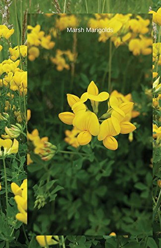 Stock image for Marsh Marigolds: Journal (Wildflowers) for sale by WorldofBooks