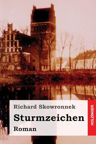 9781545315811: Sturmzeichen: Roman