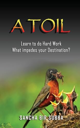 9781545528921: A Toil: Learn to do Hard Work What impedes your Destination?