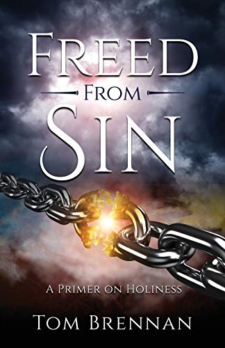 Stock image for Freed From Sin: A Primer on Holiness for sale by Read&Dream