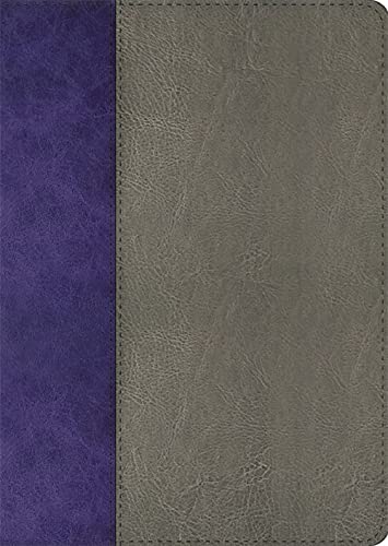 Beispielbild fr The Jeremiah Study Bible, Nkjv: Gray and Purple Leatherluxe Limited Edition: What It Says. What It Means. What It Means for You. zum Verkauf von ThriftBooks-Dallas