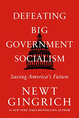 Stock image for Defeating Big Government Socialism: Saving America's Future for sale by Dream Books Co.