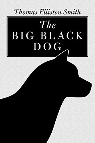 Stock image for The Big Black Dog for sale by Lucky's Textbooks