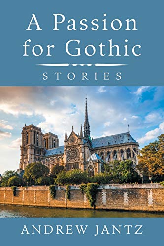 Beispielbild fr A Passion for Gothic: Stories zum Verkauf von Lucky's Textbooks