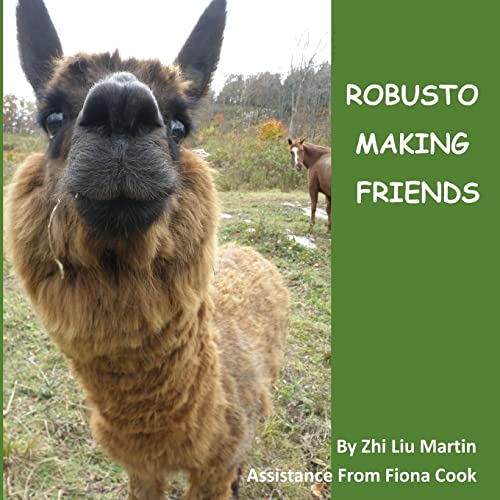 Imagen de archivo de ROBUSDOR making friends: making friends a la venta por THE SAINT BOOKSTORE