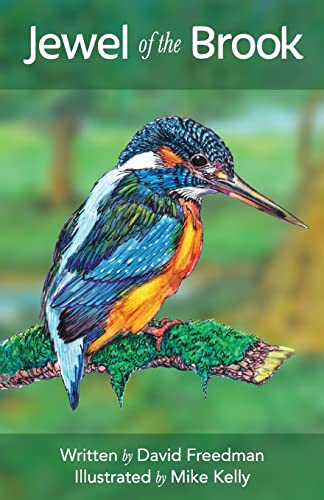 Stock image for Jewel of the Brook: The Kingfisher's Tale for sale by ALLBOOKS1