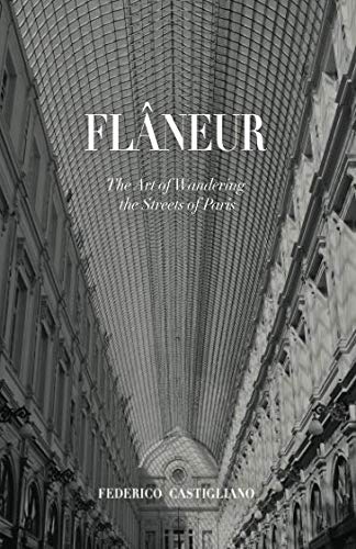 Stock image for Flneur: The Art of Wandering the Streets of Paris for sale by Goodwill Books