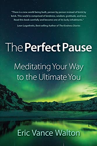 Stock image for The Perfect Pause: Meditating Your Way to the Ultimate You for sale by kelseyskorner