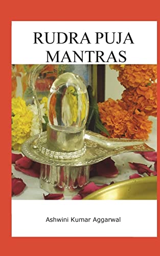 9781547156160: Rudra Puja Mantras