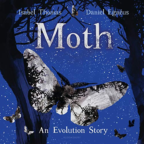 Stock image for Moth : An Evolution Story for sale by Better World Books