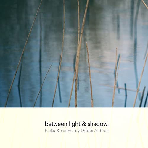 9781548085353: between light & shadow: haiku & senryu