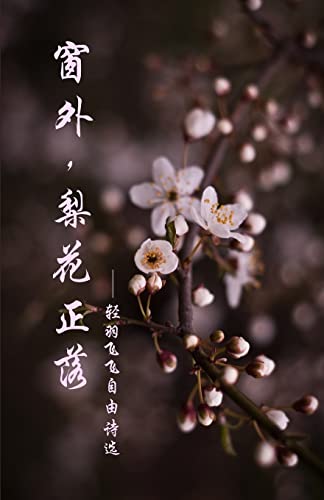 Stock image for Pear Blossoms: The Selected Works of Qing Yu Fei Fei's Poems for sale by THE SAINT BOOKSTORE