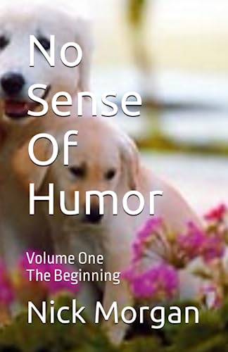 Stock image for No Sense Of Humor: The Beginning: Revised for sale by SecondSale