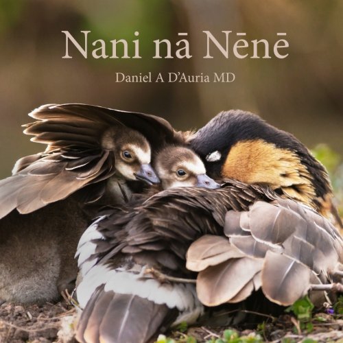 Beispielbild fr Nani na Nene (DrDADBooks) zum Verkauf von medimops