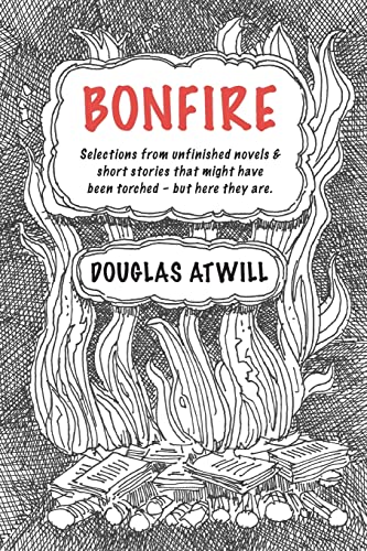 9781548344221: Bonfire