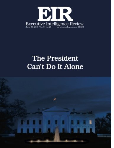 Beispielbild fr The President Can?t Do It Alone: Executive Intelligence Review; Volume 44, Issue 25 zum Verkauf von Lucky's Textbooks